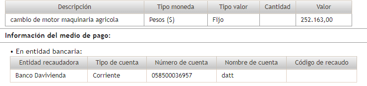 Descripción del pago