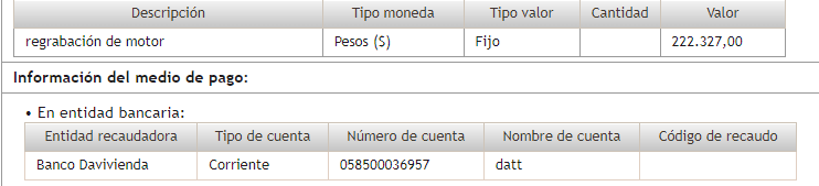 Descripción del pago