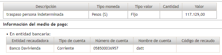 Descripción del pago
