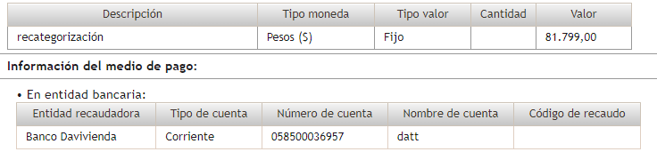 Descripción del pago 