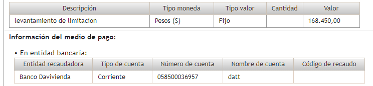 Descripción del pago
