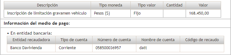 Descripción del pago