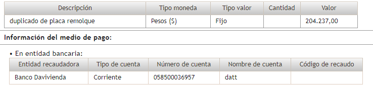 Descripción del pago