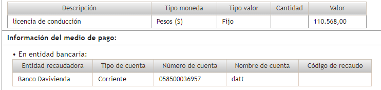 Descripción del pago