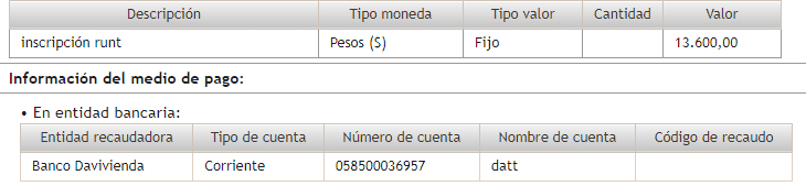 Descripción del pago