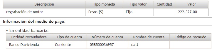 Descripción del pago