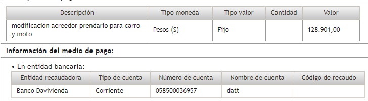 Descripción del pago
