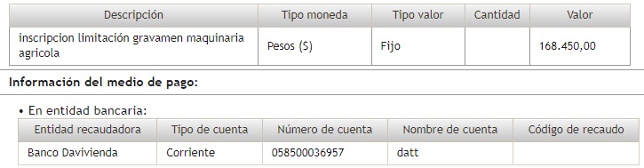 Descripción del pago