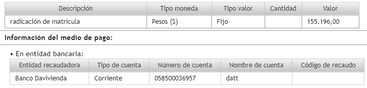 Descripción del pago