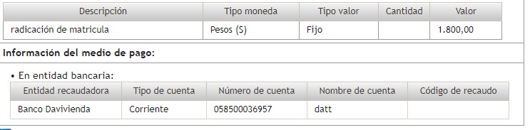 Descripción del pago