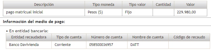 Descripción del pago