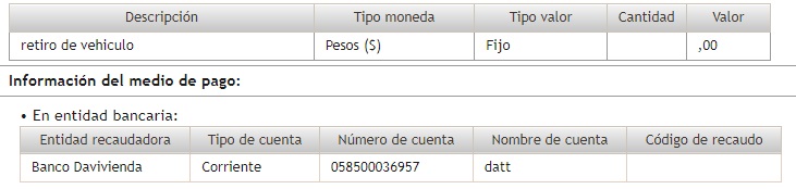 Descripción del pago