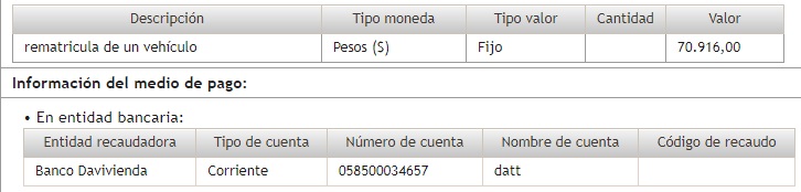Descripción del pago 