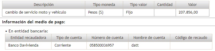 Descripción del pago