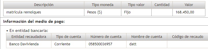 Descripción del pago