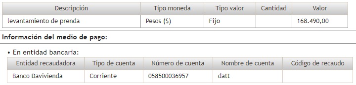 Descripción del pago