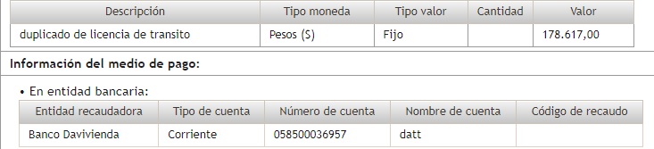Descripción del pago